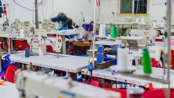 感謝每個留在成都的人，讓我更愛這座城 信息技術咨詢服務的溫情力量